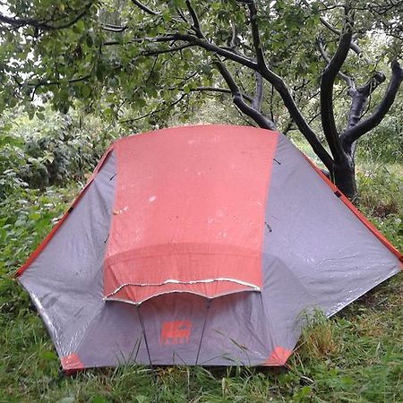 Grigor'yevka Issyk-Kul - Camping Grigoryevka酒店 外观 照片