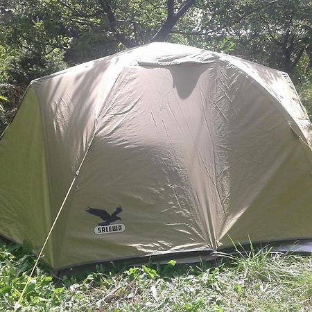 Grigor'yevka Issyk-Kul - Camping Grigoryevka酒店 外观 照片