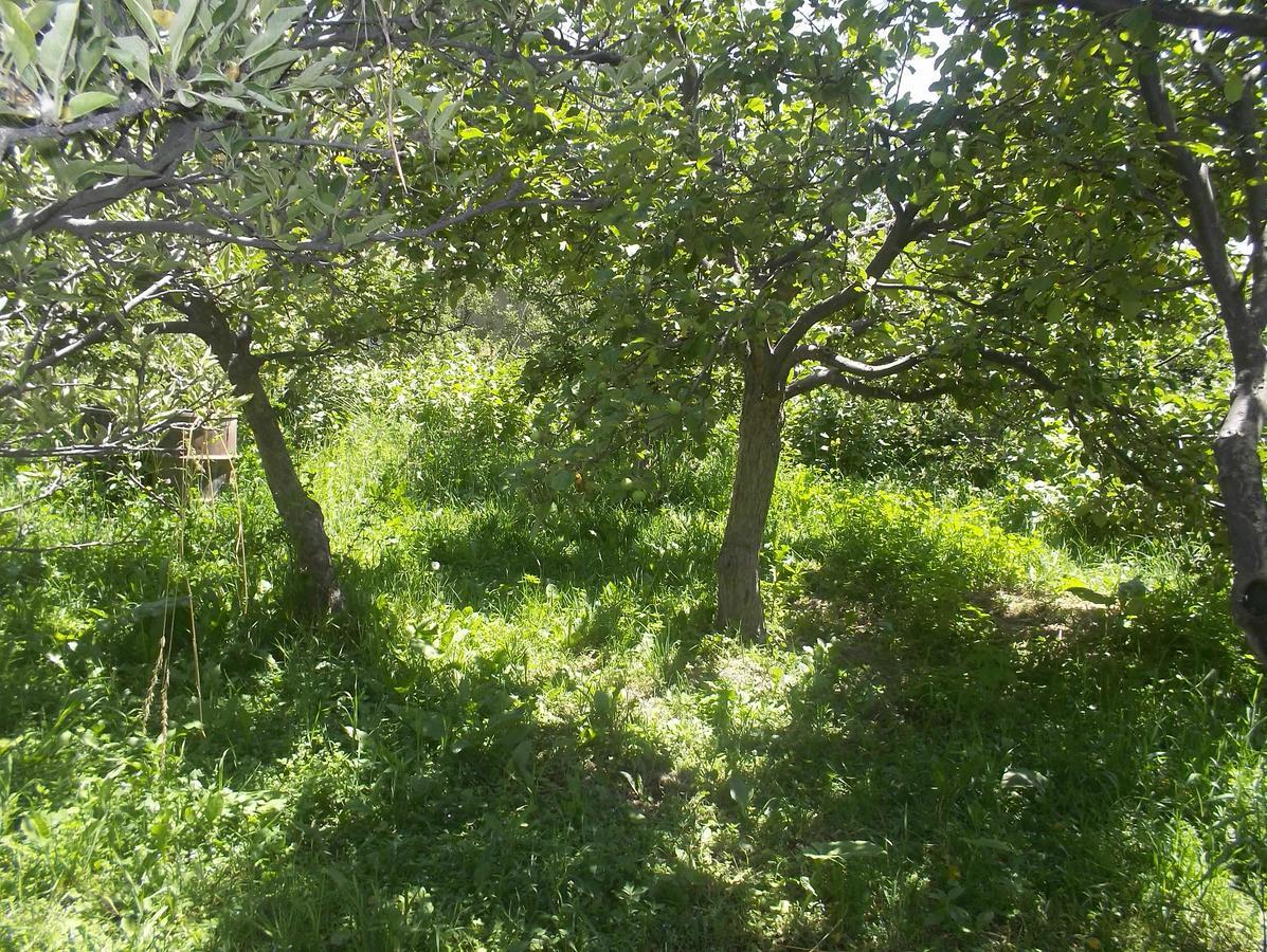 Grigor'yevka Issyk-Kul - Camping Grigoryevka酒店 外观 照片