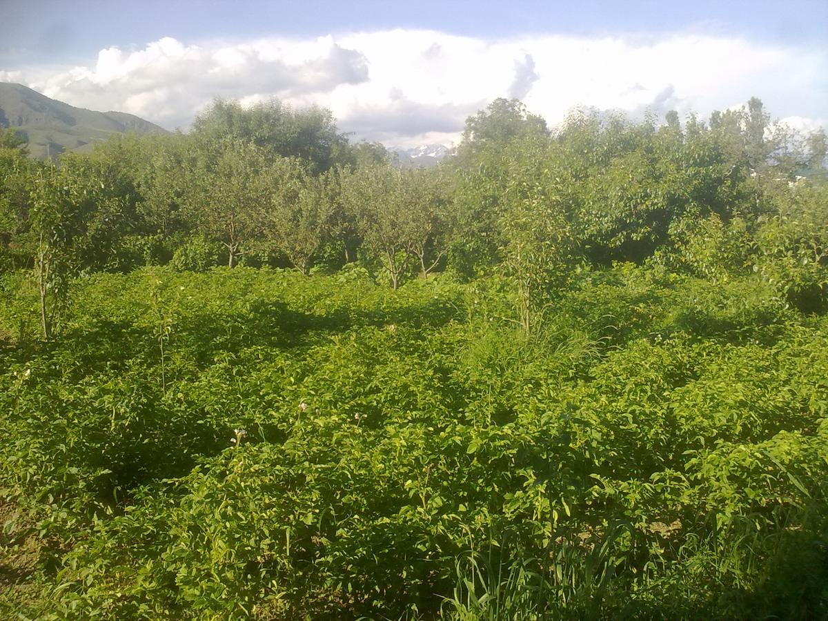 Grigor'yevka Issyk-Kul - Camping Grigoryevka酒店 外观 照片