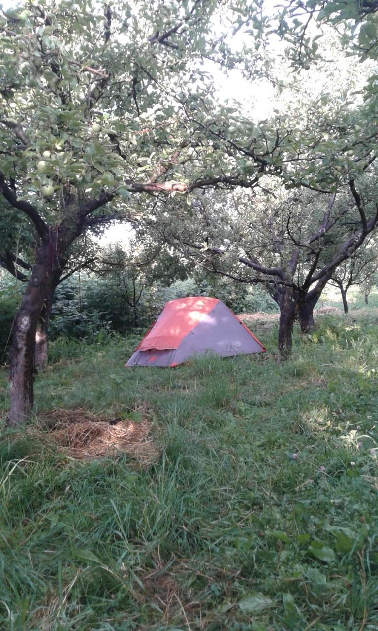 Grigor'yevka Issyk-Kul - Camping Grigoryevka酒店 外观 照片