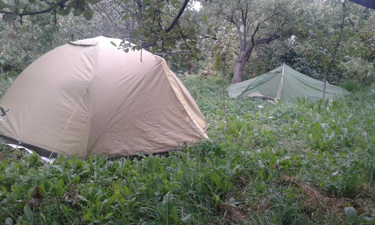 Grigor'yevka Issyk-Kul - Camping Grigoryevka酒店 外观 照片